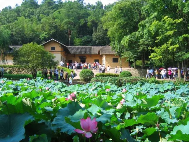 韶山紅色團建